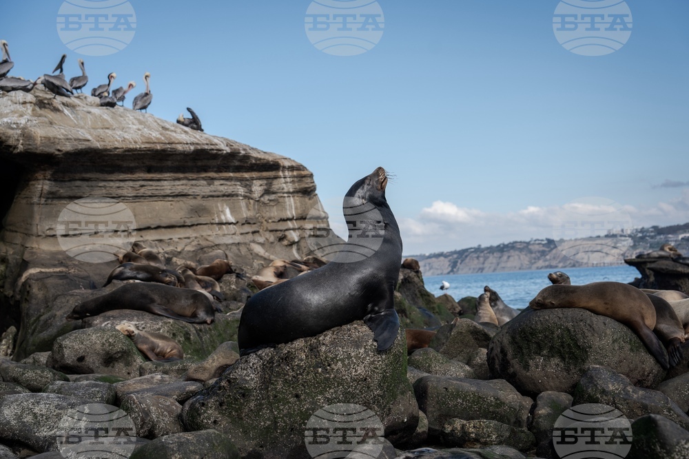 Climate Solution Desalination