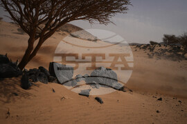 Saudi Arabia Dakar Rally