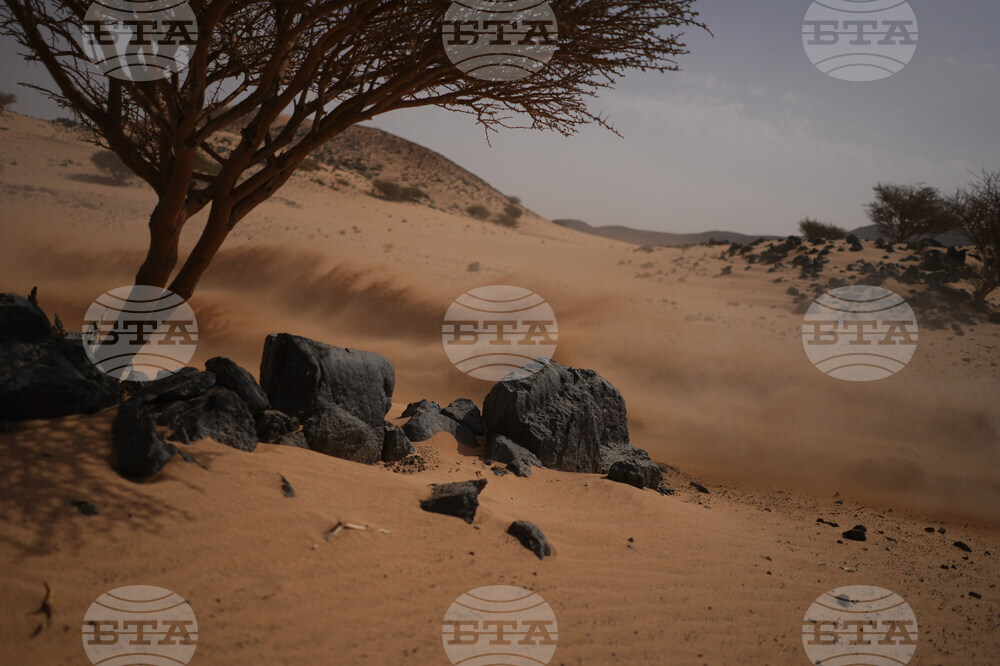 Saudi Arabia Dakar Rally