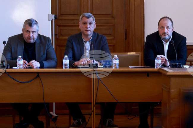 Министерството на културата следва да заеме позиция в защита на интелектуалната собственост, каза Димитър Димитров от дирекция „Авторско право и сродните му права“ 