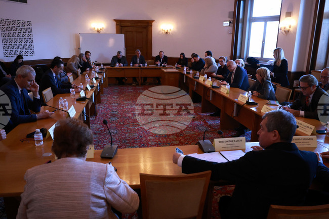 Мария Палаурова от „Филмаутор“: Министерството на културата не защитава нашите интереси