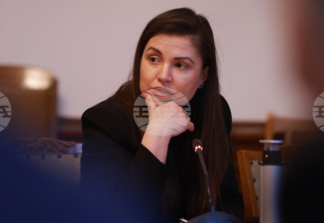 Galya Vasileva Takes Late Luben Dilov Jr.'s Place as GERB-UDF MP