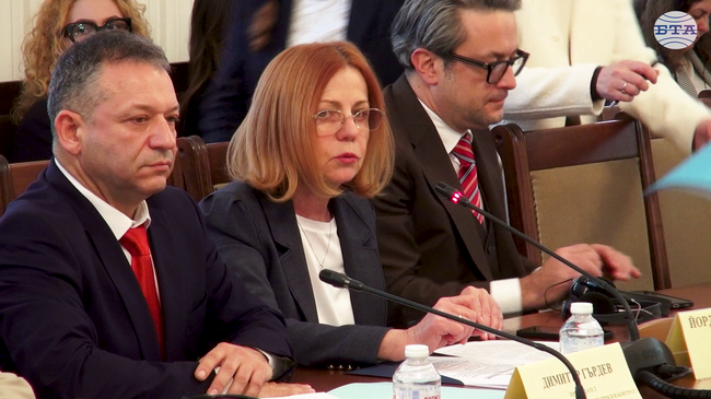 Остро осъждам този акт, каза председателят на Комисията по външна политика Йорданка Фандъкова за нападението над посолството ни в Скопие