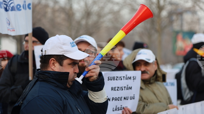 Протести белязаха националния ден на румънската култура