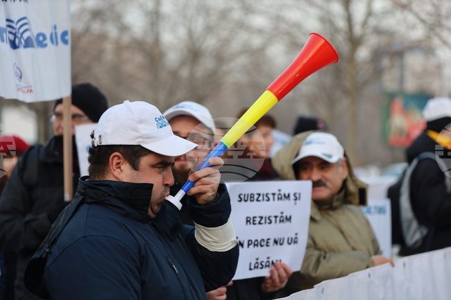 Протести белязаха националния ден на румънската култура