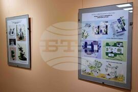 Кюстендил - „Пикселите оживяват“ - изложба - ученици