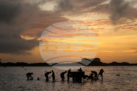 Venezuela Salt Flats