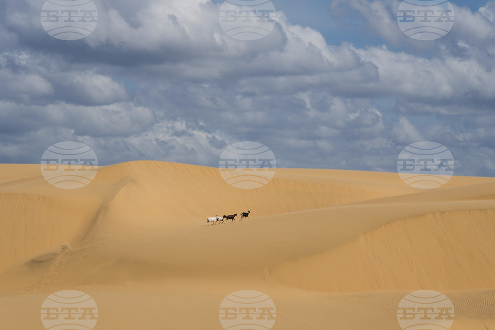 Venezuela Coro Dunes