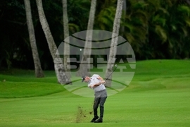 Sony Open Golf