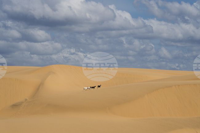APTOPIX Venezuela Coro Dunes