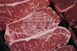 BeWell-Added Protein-Explainer