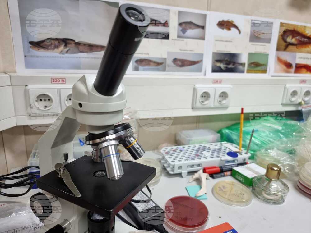 Антарктическата морска екосистема е уязвима спрямо човешко влияние