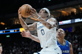 Germany Magic Grizzlies Basketball