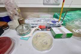 Антарктическата морска екосистема е уязвима спрямо човешко влияние