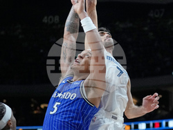 Germany Magic Grizzlies Basketball