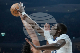 Germany Magic Grizzlies Basketball