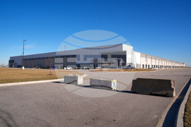 Immigration Detention