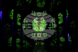 Washington National Cathedral