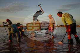 Pictures of the Week Latin America and Caribbean Photo Gallery