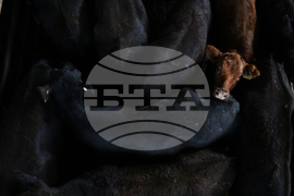 Pictures of the Week Latin America and Caribbean Photo Gallery