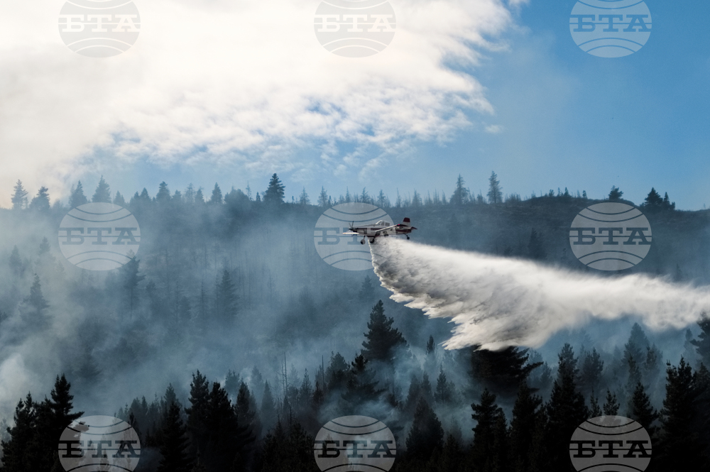 Pictures of the Week Latin America and Caribbean Photo Gallery