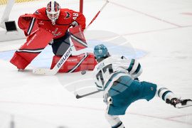 Sharks Capitals Hockey