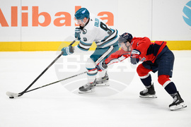 Sharks Capitals Hockey