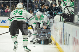 Stars Mammoth Hockey