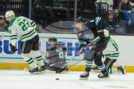 Stars Mammoth Hockey