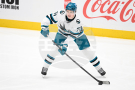 Sharks Capitals Hockey