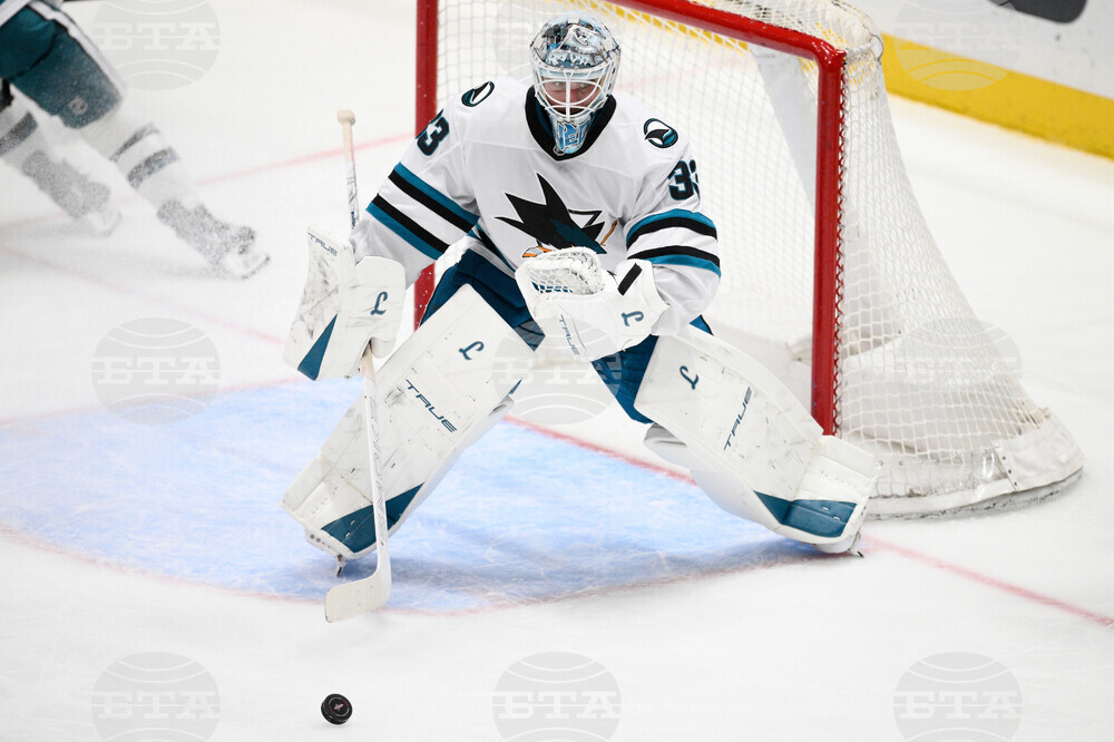 Sharks Capitals Hockey