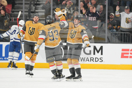 Maple Leafs Golden Knights Hockey