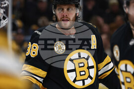 Kraken Bruins Hockey