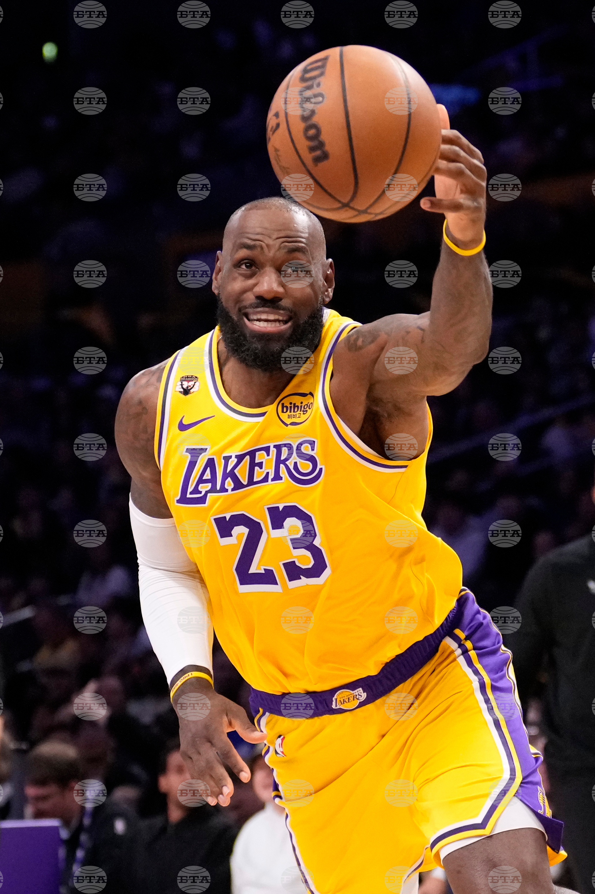 Hornets Lakers Basketball