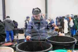 Greenland In Their Words