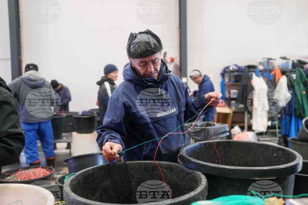 Greenland In Their Words