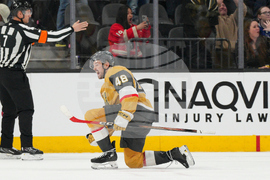 Maple Leafs Golden Knights Hockey