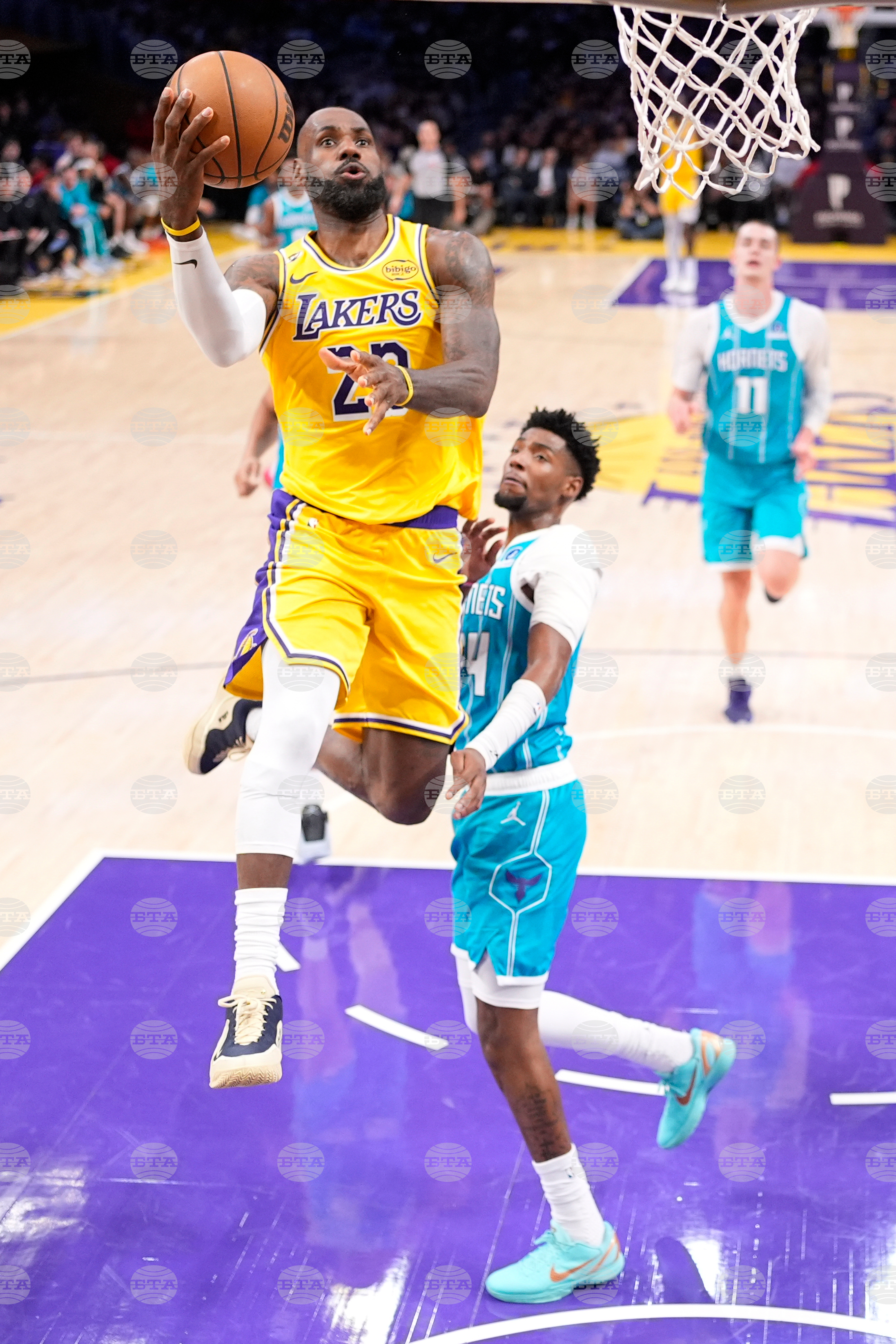 Hornets Lakers Basketball