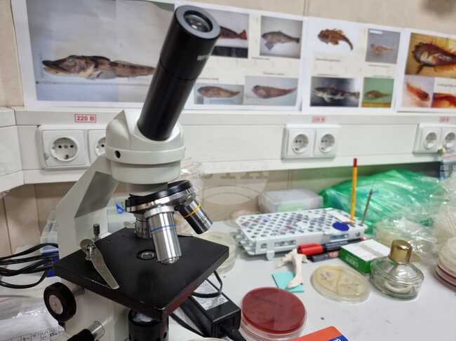 Знанието има практическа цел, казва философът Франсис Бейкън, от чиято кончина се навършват четири века