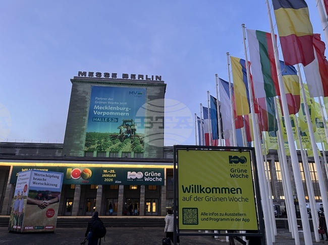 Изложението „Зелена седмица Берлин“ е посрещнало с 40 000 повече посетители спрямо миналата година на своето юбилейно стогодишно издание 