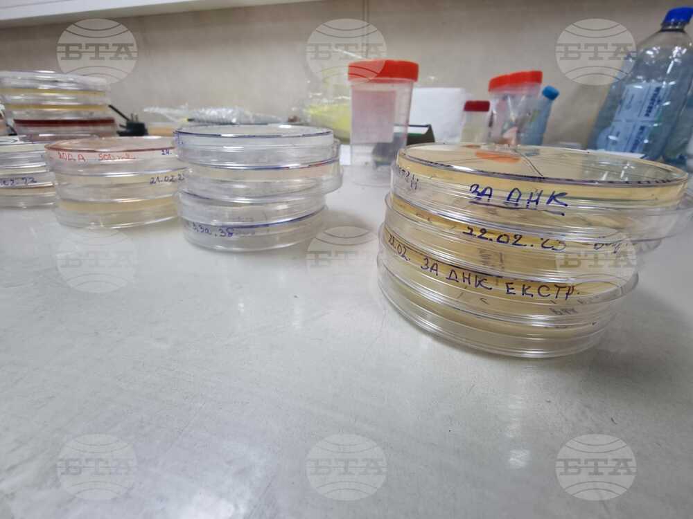 Учени откриха хиляди непознати микроби в най-дълбоката зона на океана