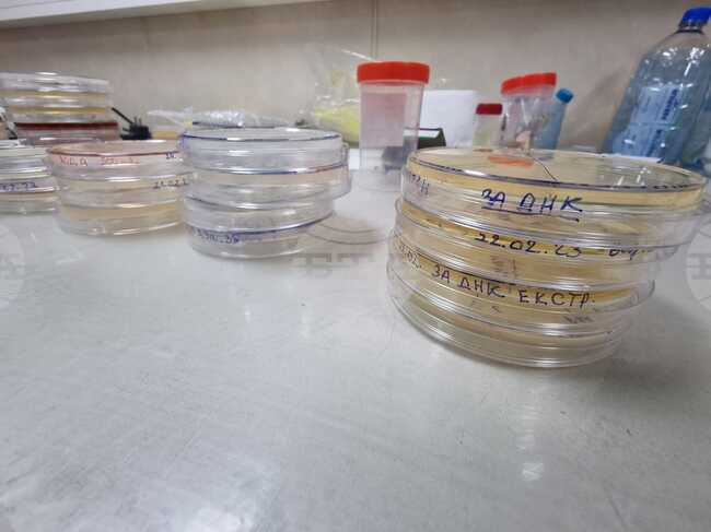 Учени откриха хиляди непознати микроби в най-дълбоката зона на океана