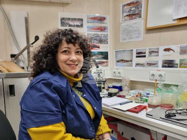 Microbiologist Petya Orozova: Antarctic Marine Ecosystem Easily Susceptible to Negative Changes By Human Activity
