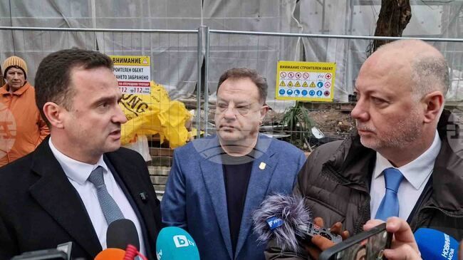 PM Zhelyazkov Comments on Kronospan Suspension, Citing Health and Clean Air