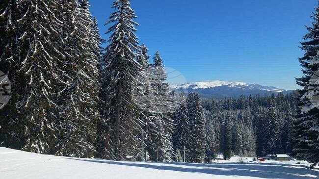 Ски писта „Трещеник“ отваря тази събота, ски оборудването и ски влекът ще са безплатни за всички деца