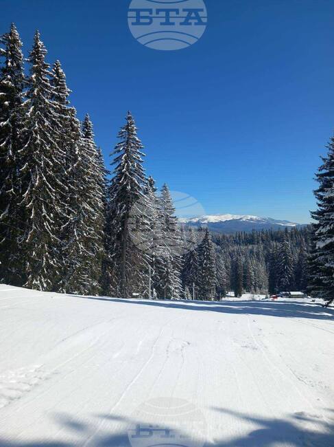 Ски писта „Трещеник“ отваря тази събота, ски оборудването и ски влекът ще са безплатни за всички деца