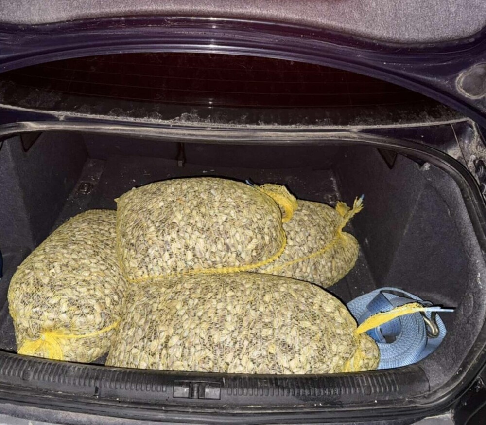 Служители на РД “Гранична полиция“ – Бургас задържаха бракониер с незаконен улов на бяла мида, осуетил полицейска проверка