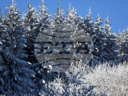 Витоша -  Световен ден на снега