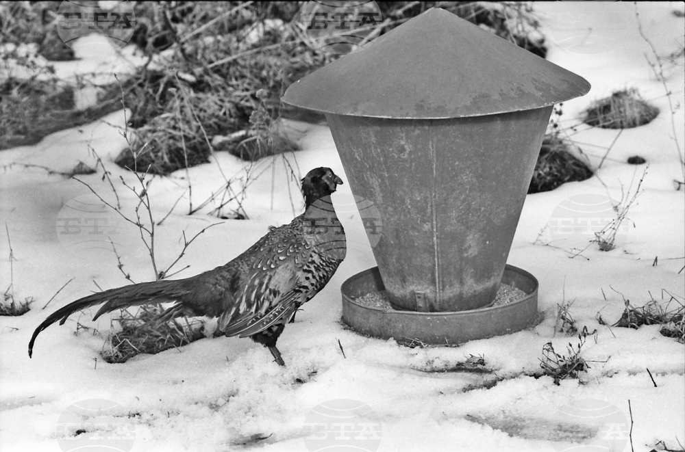 Държавно ловно стопанство – Тракия