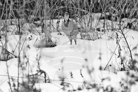 Държавно ловно стопанство – Тракия